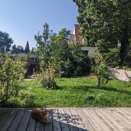 Wohnung Mit Terrasse Und Eigenem Parkplatz Nabburg Exteriér fotografie